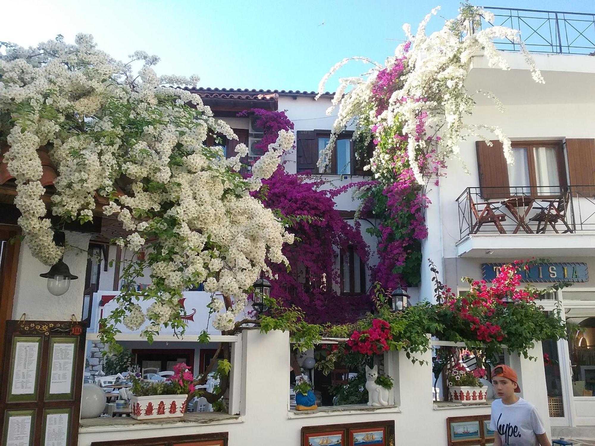 Mouria Skiathos-stad